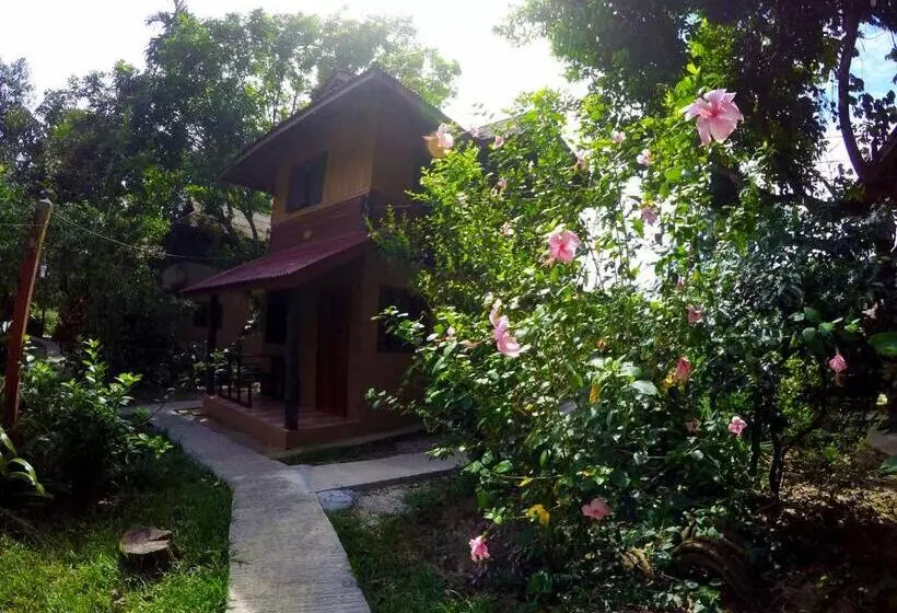 ガーデンビュースタンダードルーム, Khao Sok Morning Mist Resort