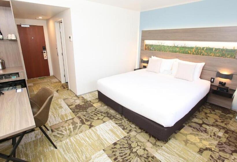 استودیو استاندارد با تخت کینگ, Novotel New Plymouth Taranaki