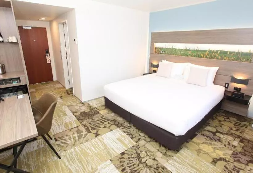 キングサイドベッドのスタンダードワンルーム, Novotel New Plymouth Taranaki