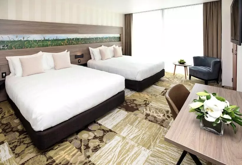 エクゼクティブルーム, Novotel New Plymouth Taranaki