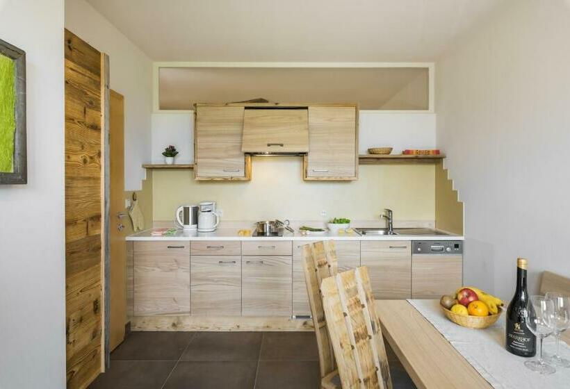 חדר סטנדרט עם טרסה, Dissertorihof