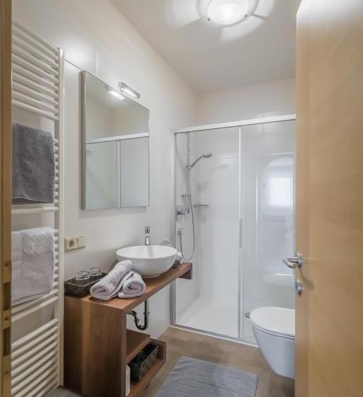 חדר סטנדרט עם טרסה, Dissertorihof