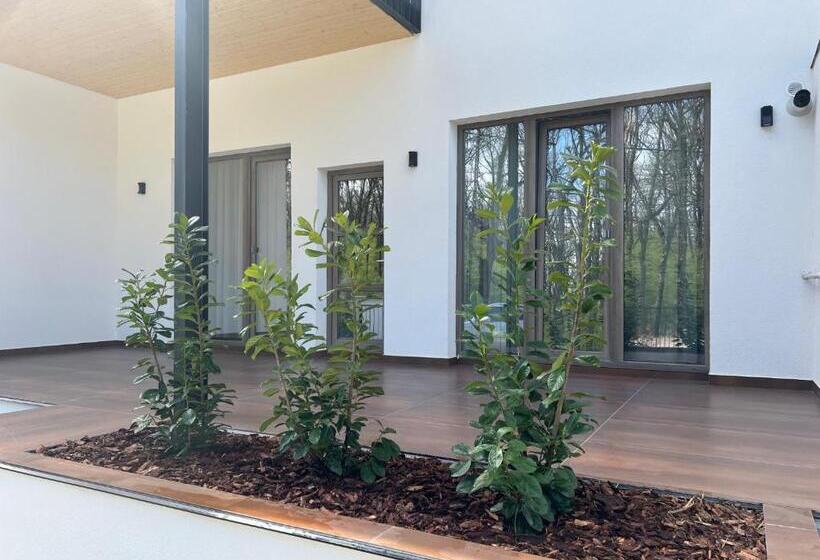 آپارتمان 1 خوابه, Forest Boutique