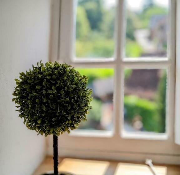 جناح ديلوكس, Château De Vassinhac Chambres D Hôtes Collonges La Rouge