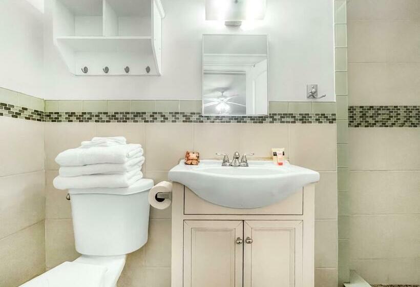 شقة غرفتين, The Oasis