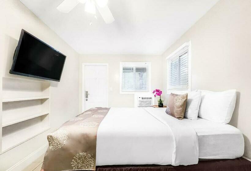 إستوديو ديلوكس, The Oasis