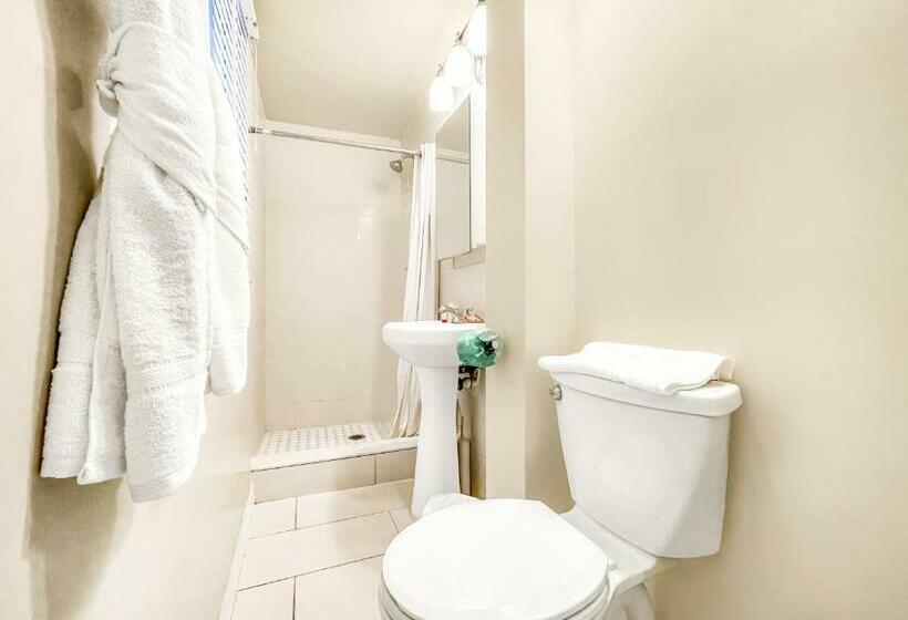 إستوديو ديلوكس, The Oasis