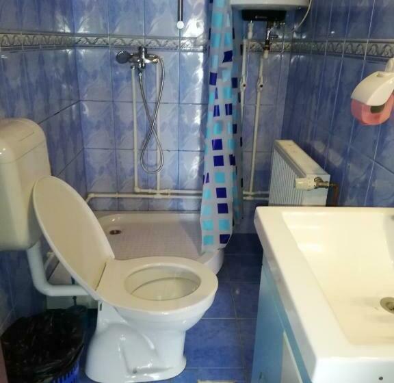 标准三人间, Pensiune Cristina Lacu Rosu