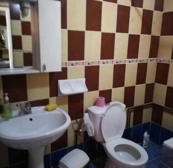 四人标准间, Pensiune Cristina Lacu Rosu