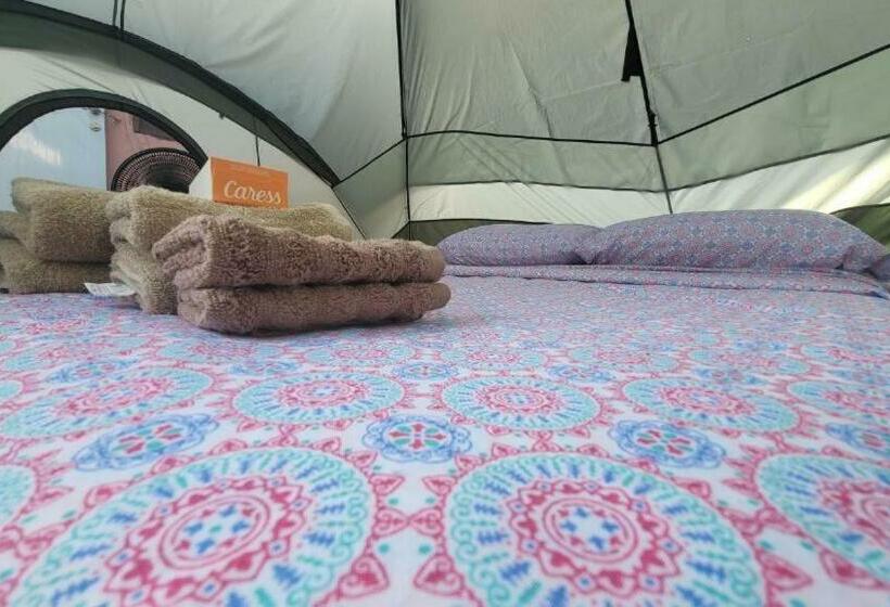 带共用浴室的标准房间, Stay Glamping For Less Campsite Cash Paypal Cozy Family Place  Coordinate Vacation 45 00 Plus Usd Ta