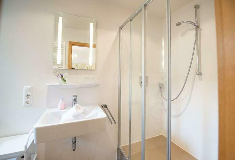 스탠다드 테라스 룸, Gästehaus Alpenhorst