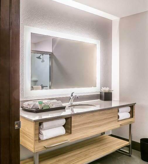 غرفة قياسية فردية لذوى الإحتياجات الخاصة, Winds Hotel At Crosswinds Casino