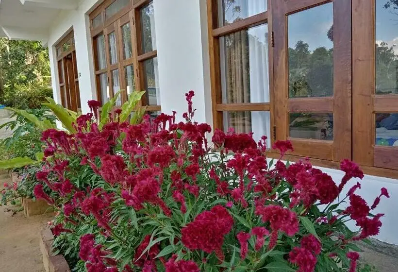 マウンテンビュースタンダードルーム, Ella Gama Village Guest House