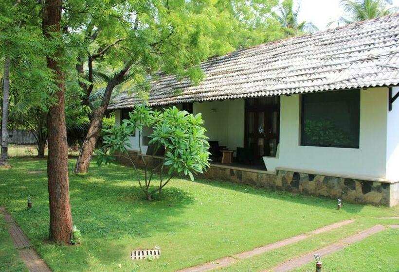 ガーデンビュースタンダードルーム, Trinco Boutique