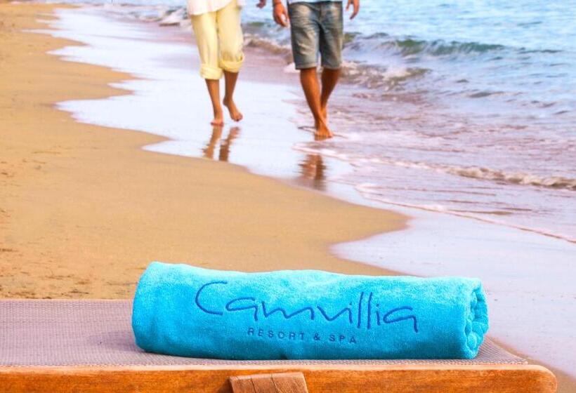 바다전망 이그제큐티브 룸, Camvillia Resort Messinia