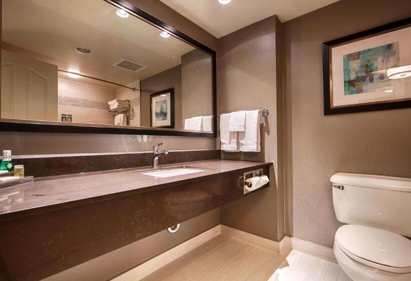 带大床的标准间, Best Western Plus The Arden Park