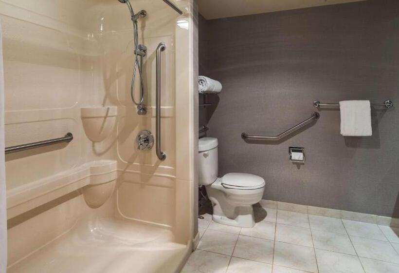 带大床的标准间, Best Western Plus The Arden Park