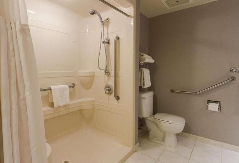 חדר סטנדרט עם מיטת קינג, Best Western Plus The Arden Park