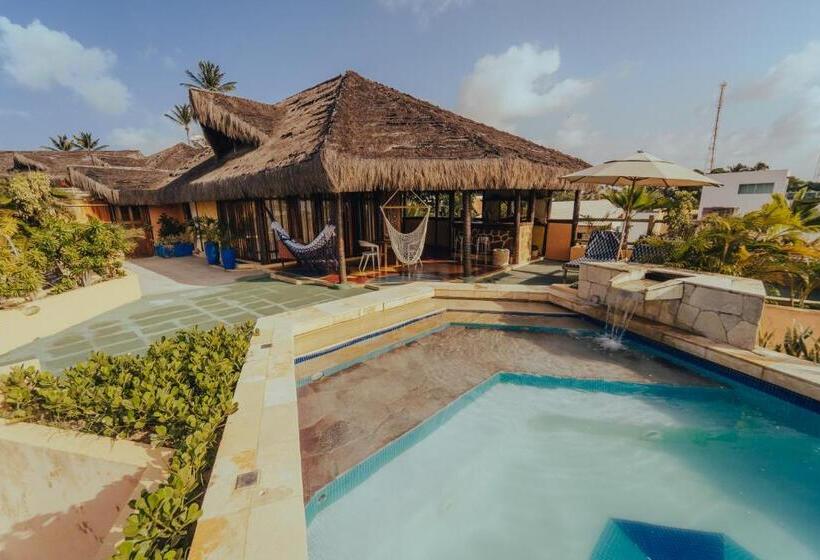 바다 전망 스위트, Dayo