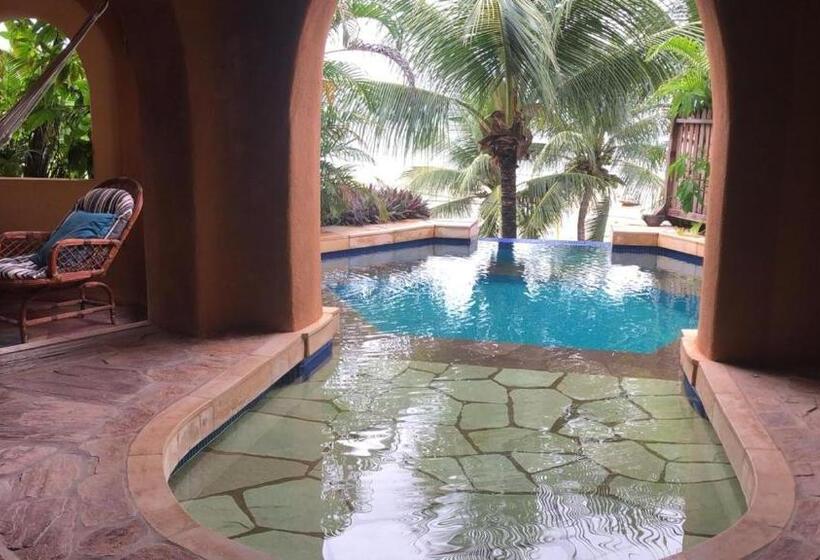 이그제큐티브 스위트, Dayo