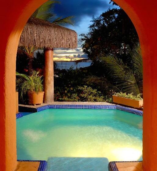 이그제큐티브 스위트, Dayo