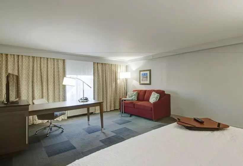 身障者適用スタンダードルーム, Hampton Inn & Suites Springfield/downtown