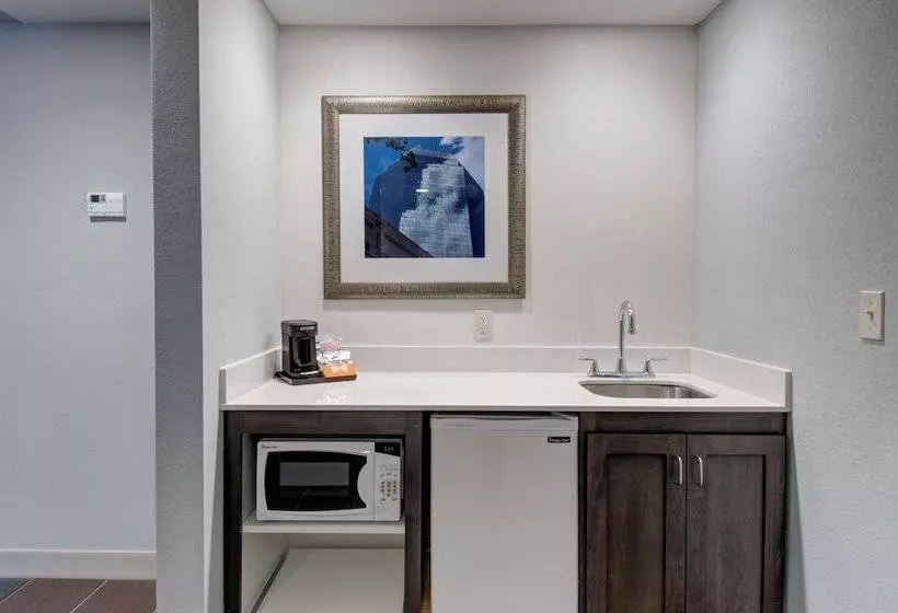 身障者適用スタンダードルーム, Hampton Inn & Suites Springfield/downtown