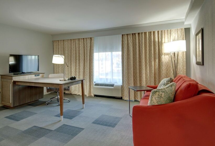 اتاق استاندارد برای معلولان, Hampton Inn & Suites Springfield/downtown