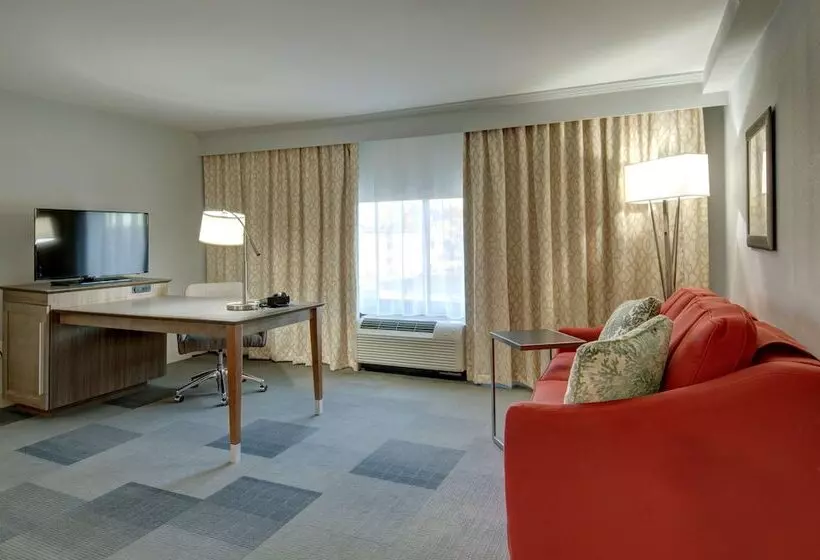 身障者適用スタンダードルーム, Hampton Inn & Suites Springfield/downtown