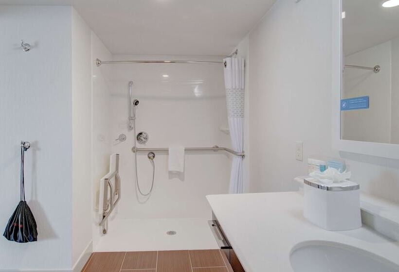 اتاق استاندارد برای معلولان, Hampton Inn & Suites Springfield/downtown