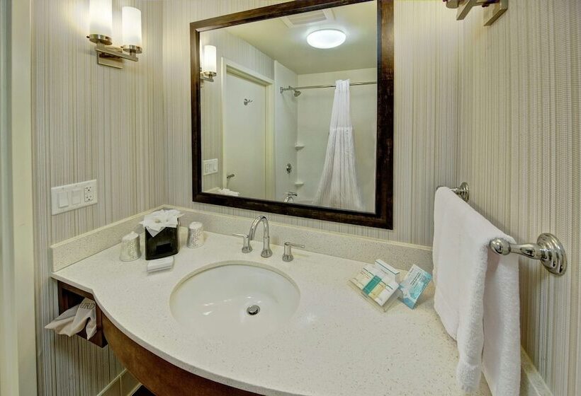 غرفة قياسية سرير كينج لذوى الإحتياجات الخاصة, Hilton Garden Inn Memphis/wolfchase Galleria