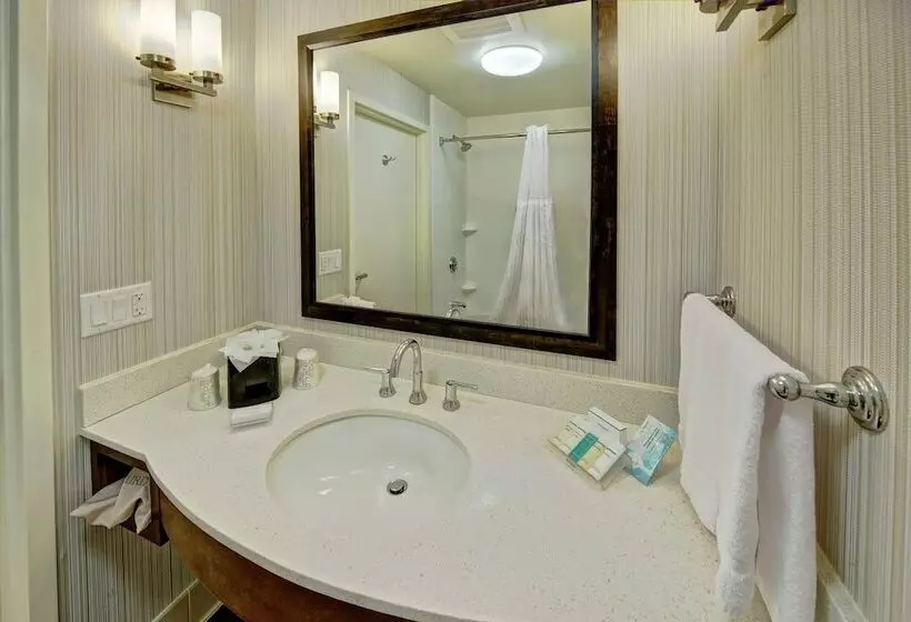 身障者適用キングサイズベッドルーム, Hilton Garden Inn Memphis/wolfchase Galleria