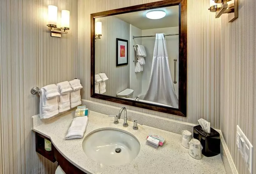 身障者適用キングサイズベッドルーム, Hilton Garden Inn Memphis/wolfchase Galleria