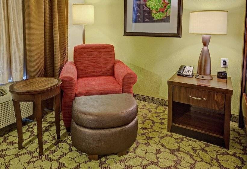 适合残疾人士使用的带超级大床的标准间, Hilton Garden Inn Memphis/wolfchase Galleria