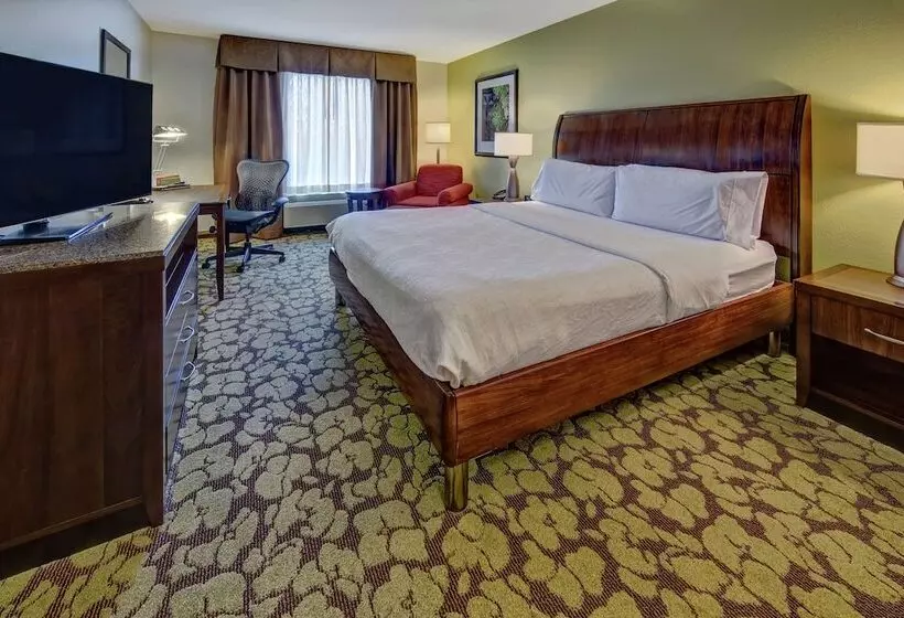 身障者適用キングサイズベッドルーム, Hilton Garden Inn Memphis/wolfchase Galleria