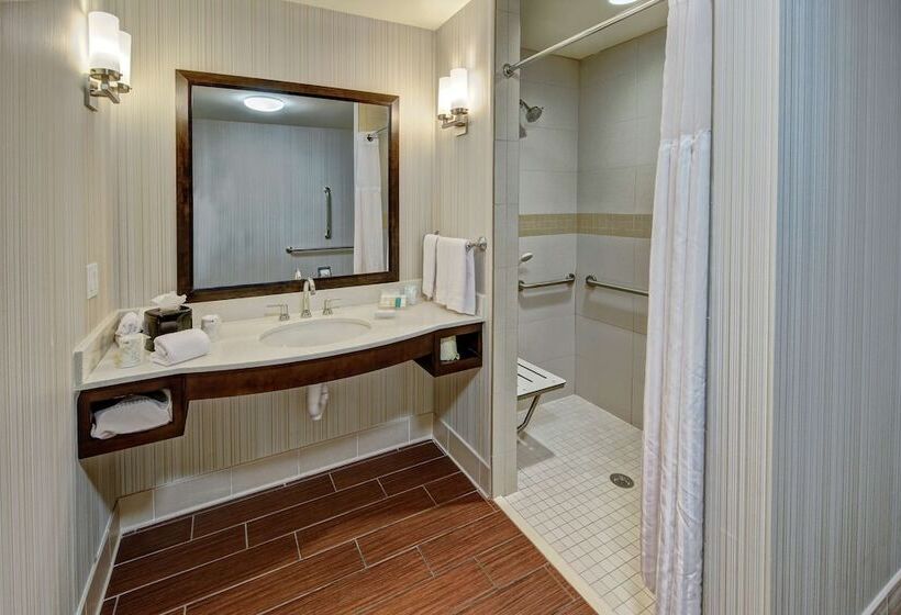 适合残疾人使用的标准间, Hilton Garden Inn Memphis/wolfchase Galleria