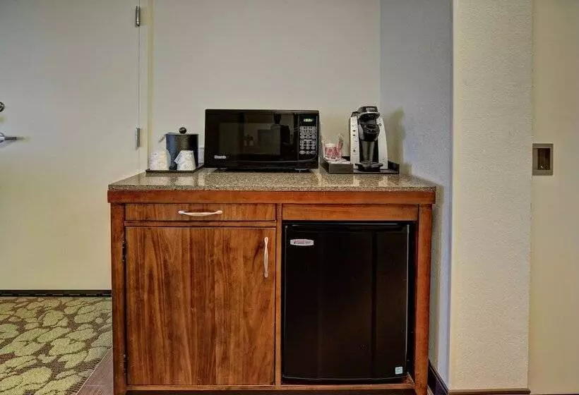 身障者適用スタンダードルーム, Hilton Garden Inn Memphis/wolfchase Galleria