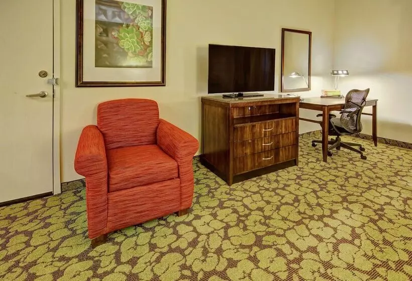 身障者適用スタンダードルーム, Hilton Garden Inn Memphis/wolfchase Galleria