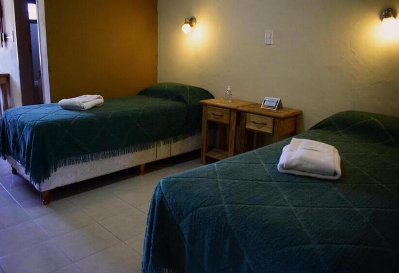 חדר סטנדרט יחיד, El Alamo