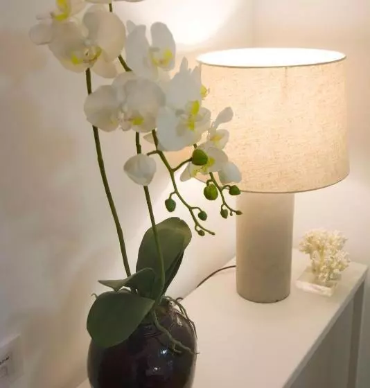 اتاق استاندارد, Hôtel Lodge In Paris 13