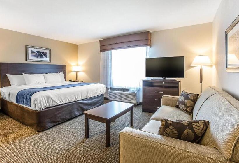 جناح سرير كينج, Mainstay Suites Cartersville
