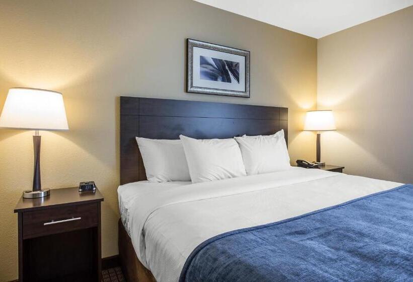 جناح سرير كينج, Mainstay Suites Cartersville