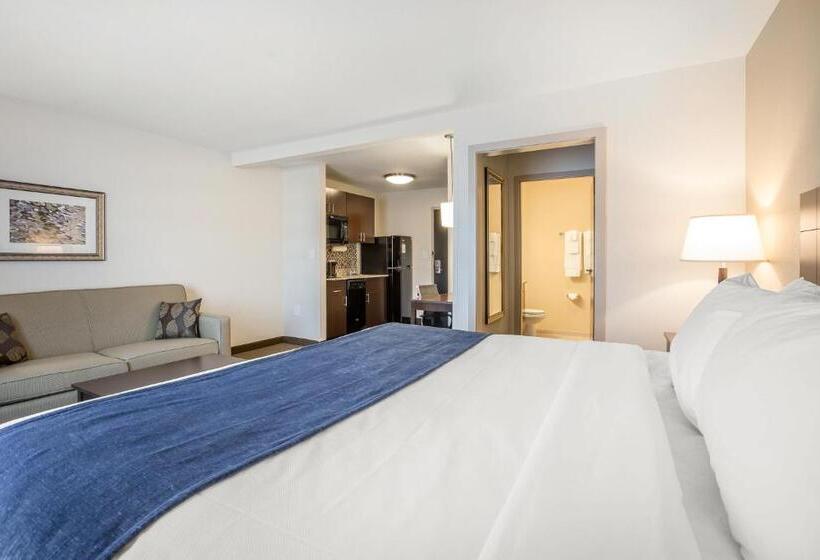 Люкс Кровать Кинг, Mainstay Suites Cartersville