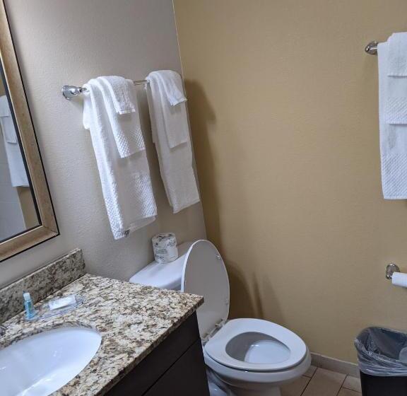 جناح سرير كينج, Mainstay Suites Cartersville