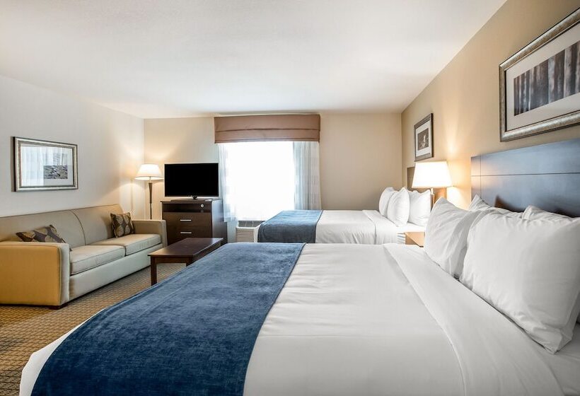 Люкс, Mainstay Suites Cartersville