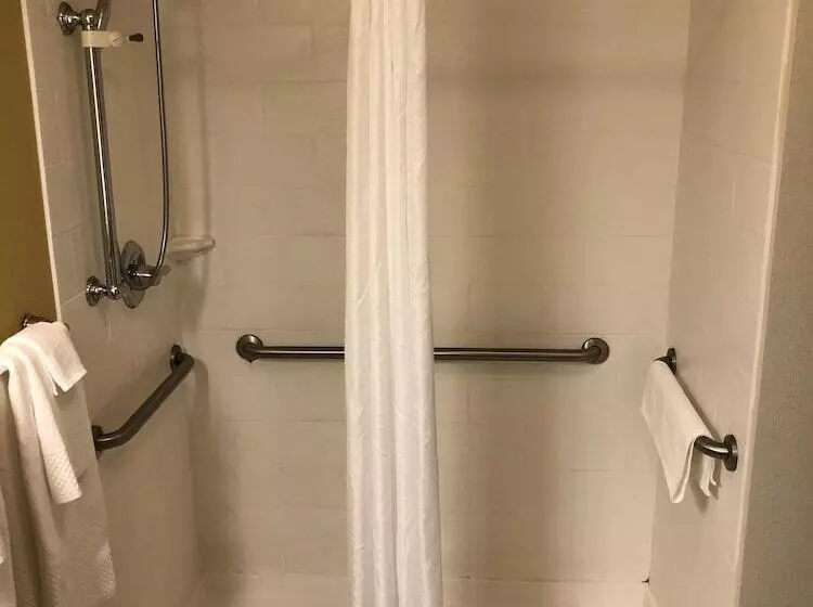スイート, Mainstay Suites Cartersville