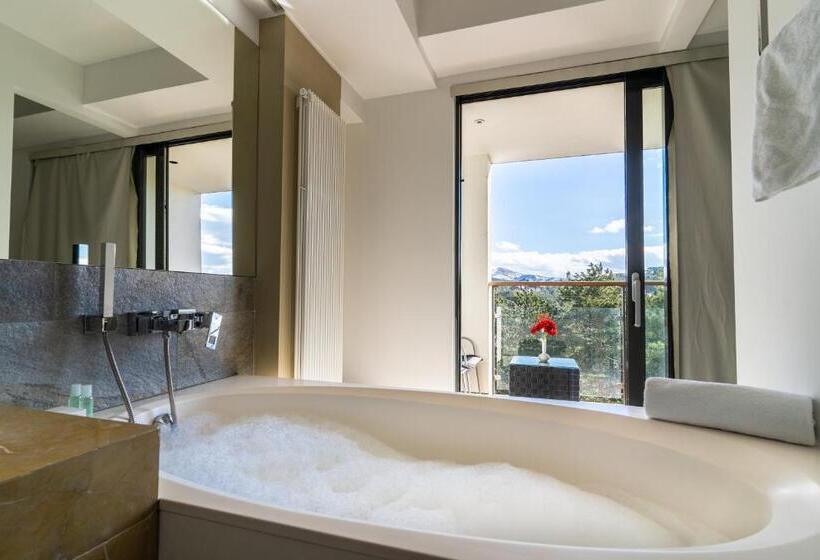 اتاق لوکس با تراس, Palisad