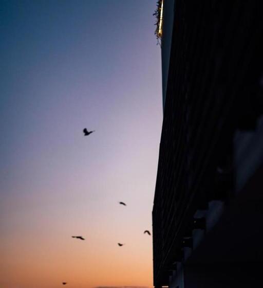 اتاق لوکس با تراس, Palisad