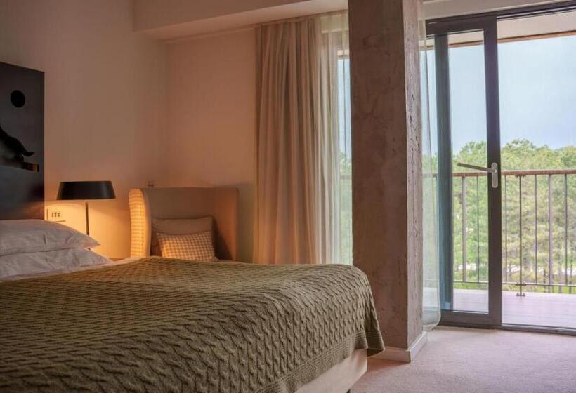 اتاق سوپریور, Palisad