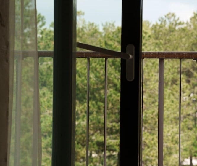 اتاق سوپریور, Palisad